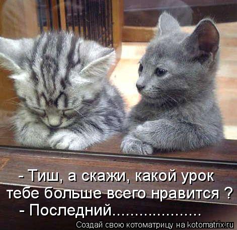 - Тиш, а скажи, какой урок тебе больше всего нравится ? - Последний....................... Котоматрица: - Тиш, а скажи, какой урок тебе больше всего нравится ? - Последний....................