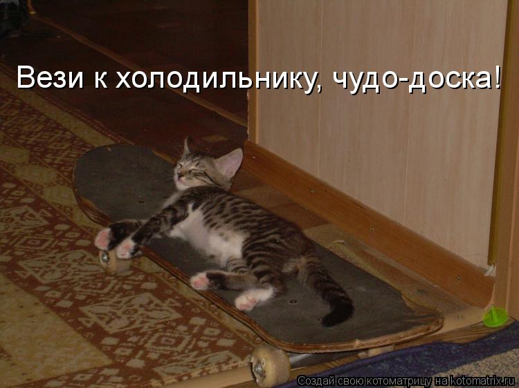 Вези к холодильнику, чудо-доска!... Котоматрица: Вези к холодильнику, чудо-доска!