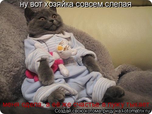 ну вот хозяйка совсем слепая меня одела, а её же счастье в лужу тыкает... Котоматрица: ну вот хозяйка совсем слепая меня одела, а её же счастье в лужу тыкает