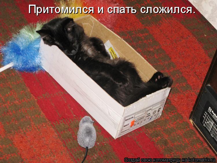 Притомился и спать сложился.... Котоматрица: Притомился и спать сложился.