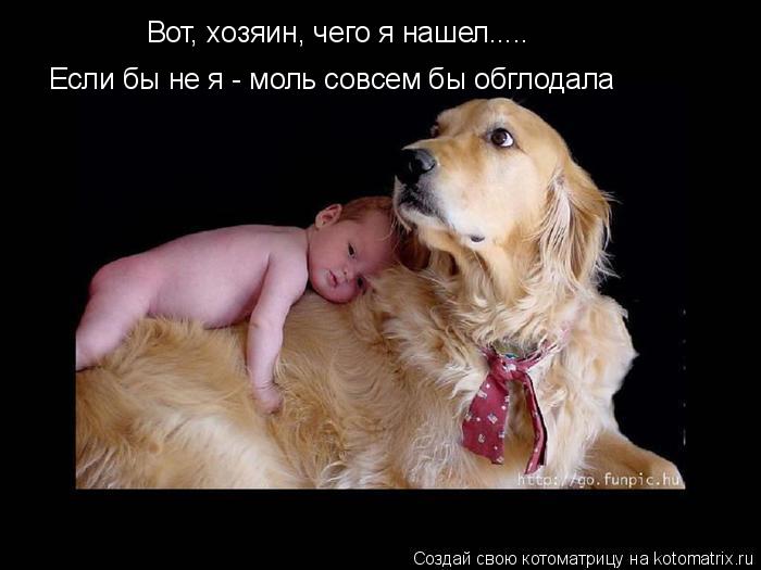 Если бы не я - моль совсем бы обглодала Вот, хозяин, чего я нашел........ Котоматрица: Если бы не я - моль совсем бы обглодала Вот, хозяин, чего я нашел.....