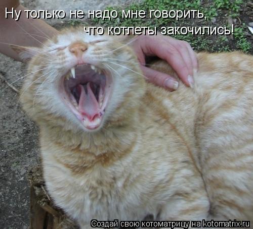 Ну только не надо мне говорить, что котлеты закочились!... Котоматрица: Ну только не надо мне говорить, что котлеты закочились!