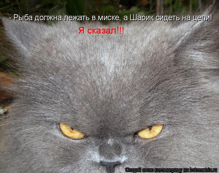 - Рыба должна лежать в миске, а Шарик сидеть на цепи! Я сказал!!!... Котоматрица: - Рыба должна лежать в миске, а Шарик сидеть на цепи! Я сказал!!!