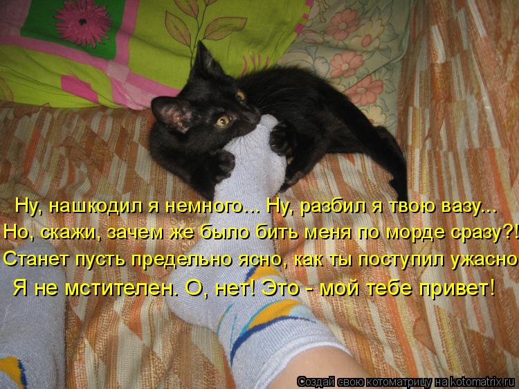 Котоматрица: Ну, нашкодил я немного... Ну, разбил я твою вазу... Но, скажи, зачем же было бить меня по морде сразу?! Станет пусть предельно ясно, как ты поступ