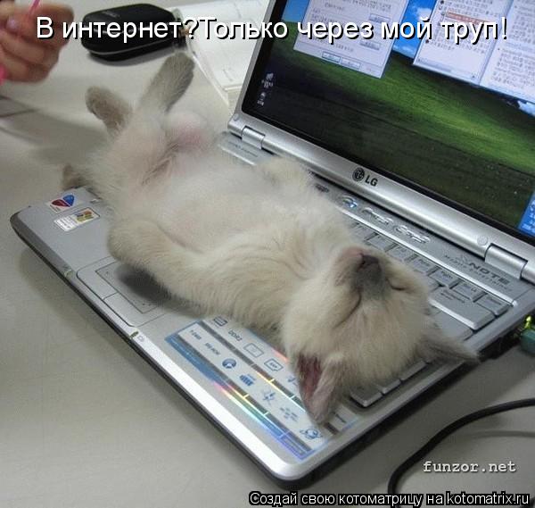 В интернет?Только через мой труп!... Котоматрица: В интернет?Только через мой труп!