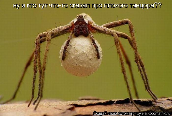 ну и кто тут что-то сказал про плохого танцора??... Котоматрица: ну и кто тут что-то сказал про плохого танцора??