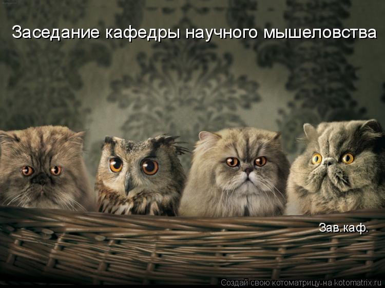 Заседание кафедры научного мышеловства Зав.каф.... Котоматрица: Заседание кафедры научного мышеловства Зав.каф.