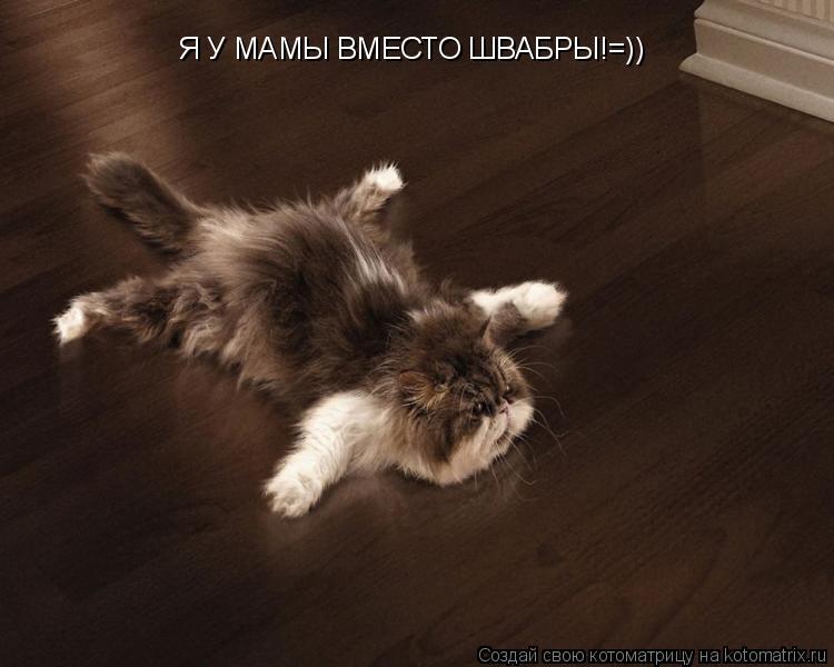 Я У МАМЫ ВМЕСТО ШВАБРЫ!=))... Котоматрица: Я У МАМЫ ВМЕСТО ШВАБРЫ!=))