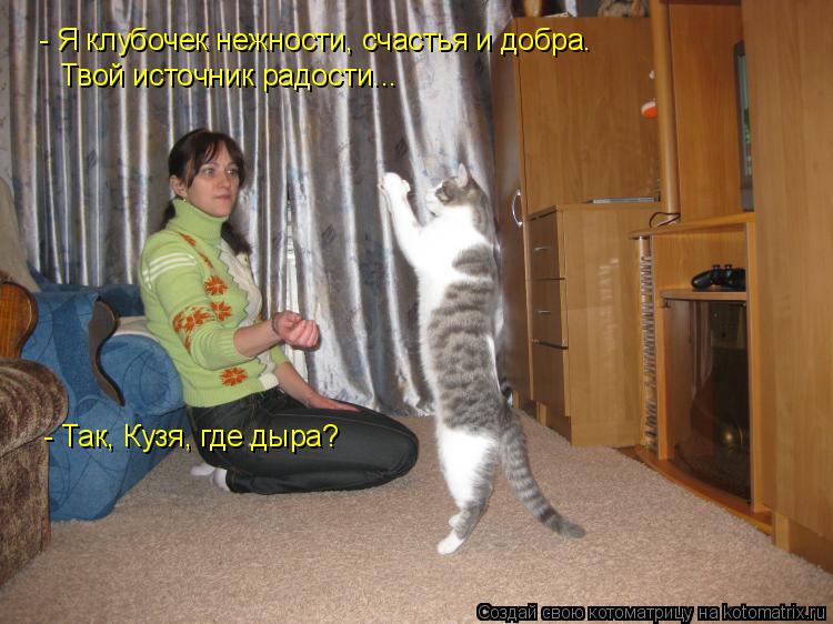 - Я клубочек нежности, счастья и добра. Твой источник радости... - Так, Кузя, где дыра?... Котоматрица: - Я клубочек нежности, счастья и добра. Твой источник радости... - Так, Кузя, где дыра?