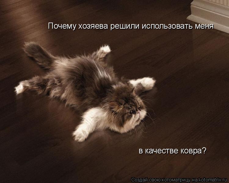 Почему хозяева решили использовать меня в качестве ковра?... Котоматрица: Почему хозяева решили использовать меня в качестве ковра?