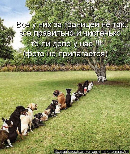 Все у них за границей не так... все правильно и чистенько то ли дело у нас !!! (фото не прилагается)... Котоматрица: Все у них за границей не так... все правильно и чистенько то ли дело у нас !!! (фото не прилагается)