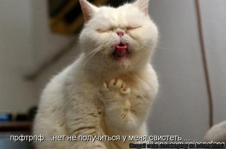 прфтрпф....нет не получиться у меня свистеть....... Котоматрица: прфтрпф....нет не получиться у меня свистеть....