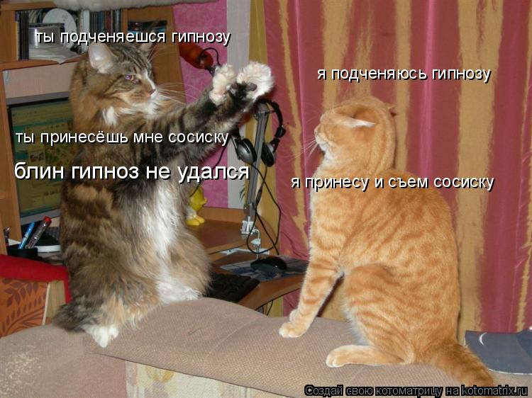 ты подченяешся гипнозу я подченяюсь гипнозу ты принесёшь мне сосиску я принесу и съем сосиску блин ги... Котоматрица: ты подченяешся гипнозу я подченяюсь гипнозу ты принесёшь мне сосиску я принесу и съем сосиску блин гипноз не удался
