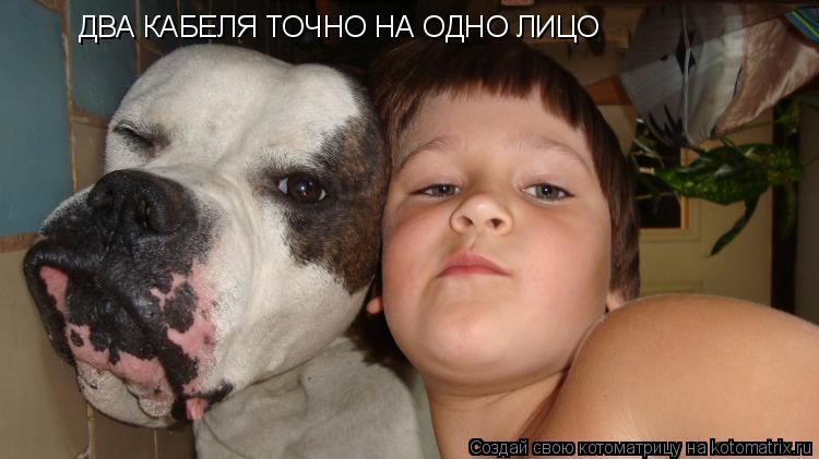 ДВА КАБЕЛЯ ТОЧНО НА ОДНО ЛИЦО... Котоматрица: ДВА КАБЕЛЯ ТОЧНО НА ОДНО ЛИЦО