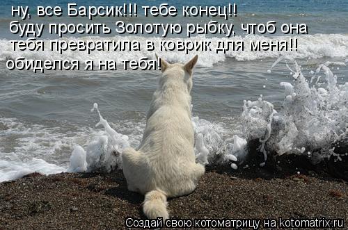 ну, все Барсик!!! тебе конец!! буду просить Золотую рыбку, чтоб она тебя превратила в коврик для мен... Котоматрица: ну, все Барсик!!! тебе конец!! буду просить Золотую рыбку, чтоб она тебя превратила в коврик для меня!! обиделся я на тебя!