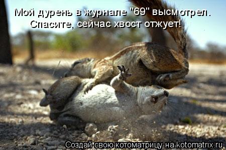 Мой дурень в журнале "69" высмотрел. Спасите, сейчас хвост отжует!... Котоматрица: Мой дурень в журнале "69" высмотрел. Спасите, сейчас хвост отжует!