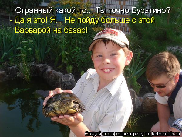 Котоматрица: - Странный какой-то... Ты точно Буратино? - Да я это! Я... Не пойду больше с этой  Варварой на базар!