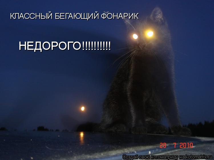 КЛАССНЫЙ БЕГАЮЩИЙ ФОНАРИК НЕДОРОГО!!!!!!!!!!... Котоматрица: КЛАССНЫЙ БЕГАЮЩИЙ ФОНАРИК НЕДОРОГО!!!!!!!!!!