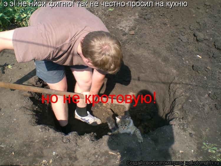э э! не ниси фигню! так не честно просил на кухню но не кротовую!... Котоматрица: э э! не ниси фигню! так не честно просил на кухню но не кротовую!