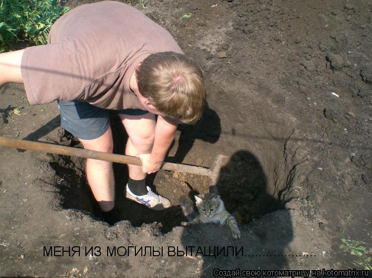 МЕНЯ ИЗ МОГИЛЫ ВЫТАЩИЛИ....................... Котоматрица: МЕНЯ ИЗ МОГИЛЫ ВЫТАЩИЛИ....................