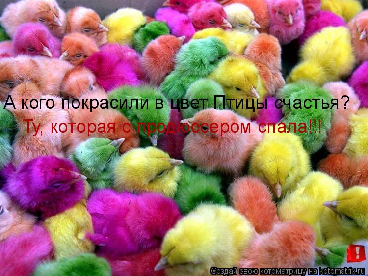 А кого покрасили в цвет Птицы счастья? Ту, которая с продюссером спала!!!... Котоматрица: А кого покрасили в цвет Птицы счастья? Ту, которая с продюссером спала!!!