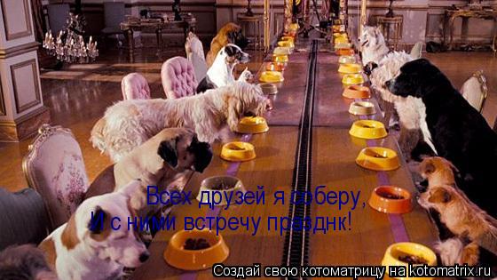 Всех друзей я соберу, И с ними встречу празднк!... Котоматрица: Всех друзей я соберу, И с ними встречу празднк!