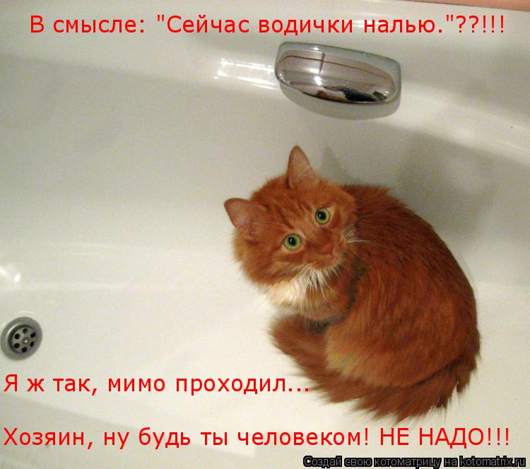 В смысле: "Сейчас водички налью."??!!! Я ж так, мимо проходил... Хозяин, ну будь ты человеком! НЕ НАД... Котоматрица: В смысле: "Сейчас водички налью."??!!! Я ж так, мимо проходил... Хозяин, ну будь ты человеком! НЕ НАДО!!!