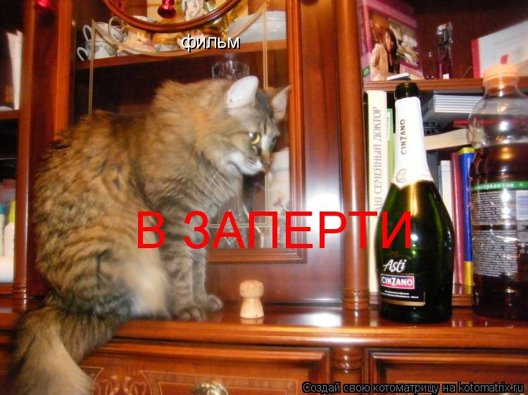 фильм В ЗАПЕРТИ... Котоматрица: фильм В ЗАПЕРТИ
