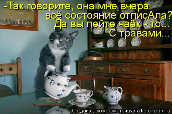 всё состояние отписАла? Да вы пейте чаёк - то... С травами... -Так говорите, она мне вчера... Котоматрица: всё состояние отписАла? Да вы пейте чаёк - то... С травами... -Так говорите, она мне вчера