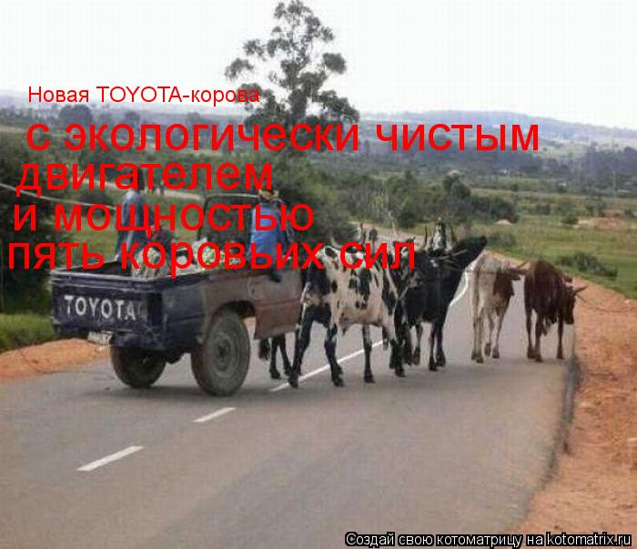 Новая TOYOTA-корова с экологически чистым двигателем и мощностью пять коровьих сил... Котоматрица: Новая TOYOTA-корова с экологически чистым двигателем и мощностью пять коровьих сил