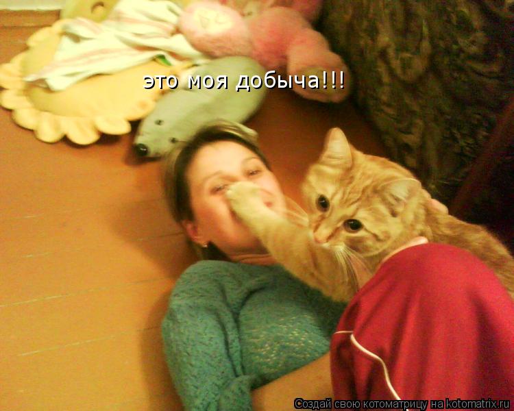 это моя добыча!!!... Котоматрица: это моя добыча!!!