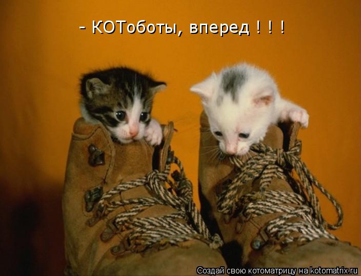 - КОТоботы, вперед ! ! !... Котоматрица: - КОТоботы, вперед ! ! !