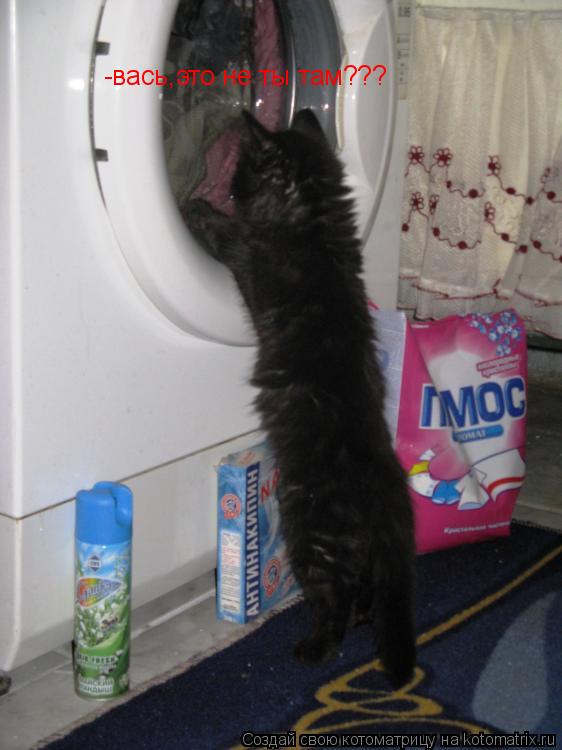 -вась,это не ты там???... Котоматрица: -вась,это не ты там???
