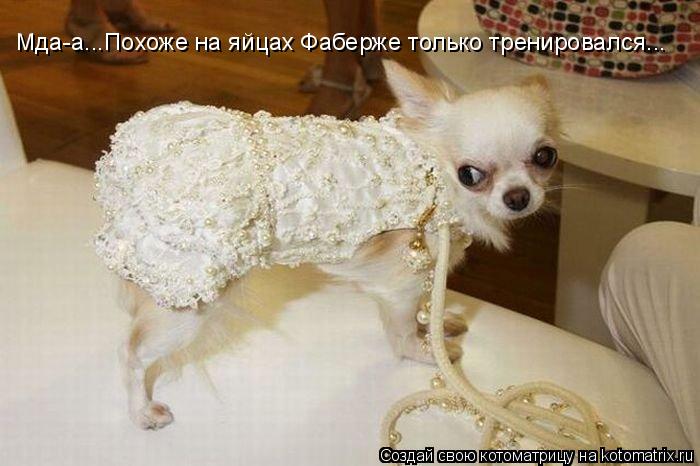 Мда-а...Похоже на яйцах Фаберже только тренировался...... Котоматрица: Мда-а...Похоже на яйцах Фаберже только тренировался...