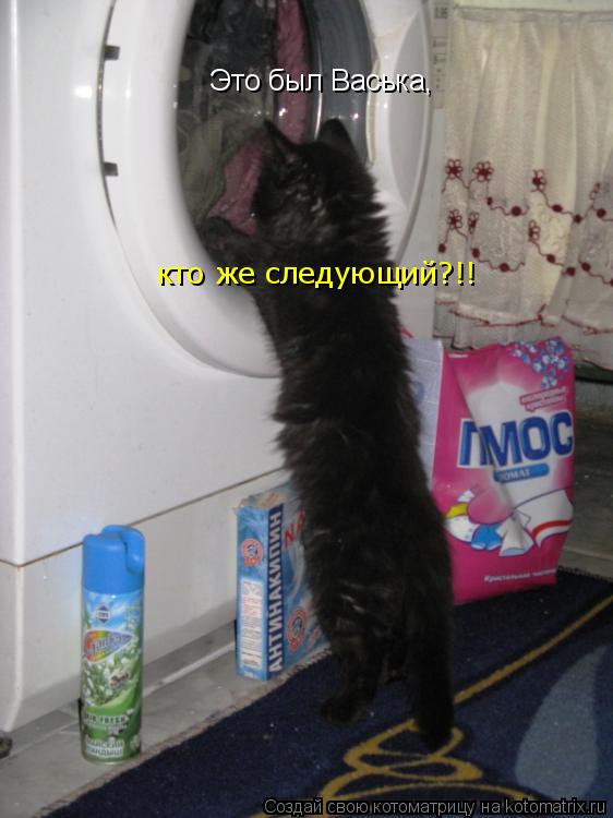 Это был Васька, кто же следующий?!!... Котоматрица: Это был Васька, кто же следующий?!!