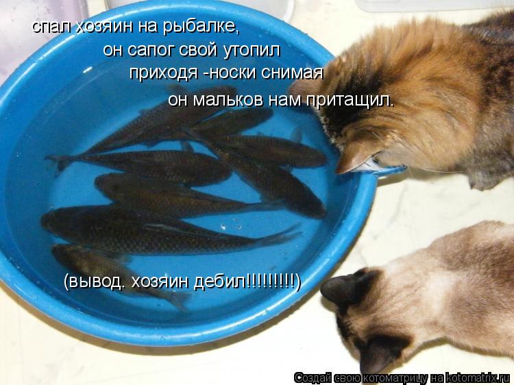 спал хозяин на рыбалке, он сапог свой утопил приходя -носки снимая он мальков нам притащил. (вывод. х... Котоматрица: спал хозяин на рыбалке, он сапог свой утопил приходя -носки снимая он мальков нам притащил. (вывод. хозяин дебил!!!!!!!!!)