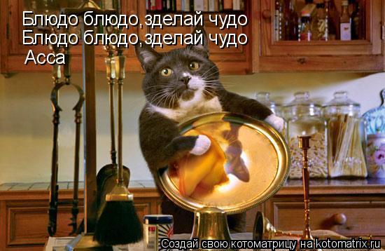 Блюдо блюдо,зделай чудо Блюдо блюдо,зделай чудо Асса... Котоматрица: Блюдо блюдо,зделай чудо Блюдо блюдо,зделай чудо Асса