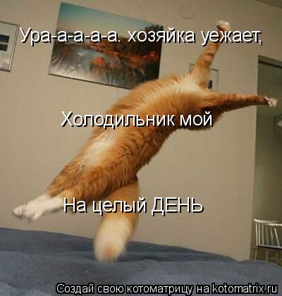 Ура-а-а-а-а. хозяйка уежает, Холодильник мой На целый ДЕНЬ... Котоматрица: Ура-а-а-а-а. хозяйка уежает, Холодильник мой На целый ДЕНЬ