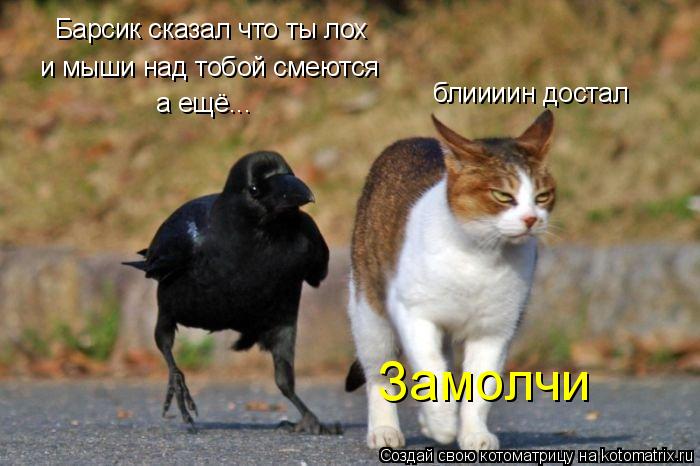 Барсик сказал что ты лох и мыши над тобой смеются а ещё... блиииин достал Замолчи... Котоматрица: Барсик сказал что ты лох и мыши над тобой смеются а ещё... блиииин достал Замолчи