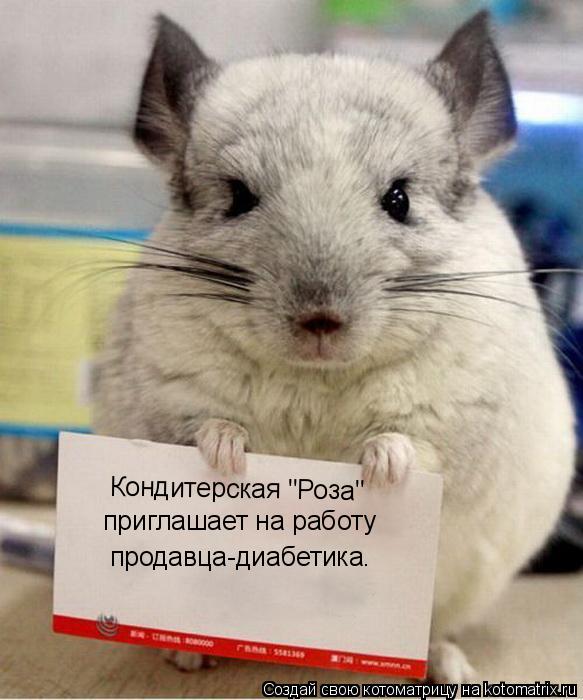 Кондитерская "Роза" приглашает на работу продавца-диабетика.... Котоматрица: Кондитерская "Роза" приглашает на работу продавца-диабетика.