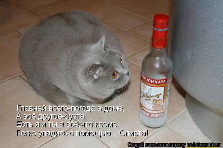 Главней всего-погода в доме, А всё другое-суета. Есть я и ты,а всё,что кроме Легко уладить с помощью.... Котоматрица: Главней всего-погода в доме, А всё другое-суета. Есть я и ты,а всё,что кроме Легко уладить с помощью... Спирта!