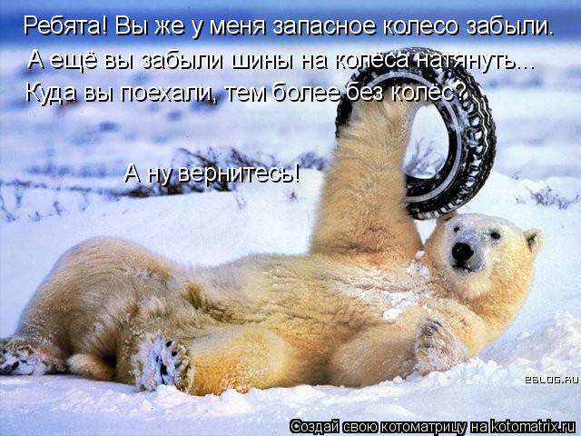 Ребята! Вы же у меня запасное колесо забыли. А ещё вы забыли шины на колёса натянуть... Куда вы поеха... Котоматрица: Ребята! Вы же у меня запасное колесо забыли. А ещё вы забыли шины на колёса натянуть... Куда вы поехали, тем более без колёс? А ну вернитесь!
