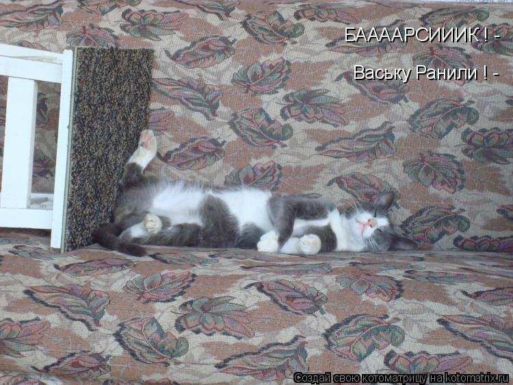 БААААРСИИИК ! - Ваську Ранили ! -... Котоматрица: БААААРСИИИК ! - Ваську Ранили ! -