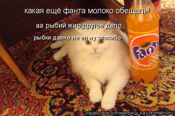 какая ещё фанта молоко обещали! аа рыбий жир,другое дело рыбки давно не ел ну спосибо... Котоматрица: какая ещё фанта молоко обещали! аа рыбий жир,другое дело рыбки давно не ел ну спосибо