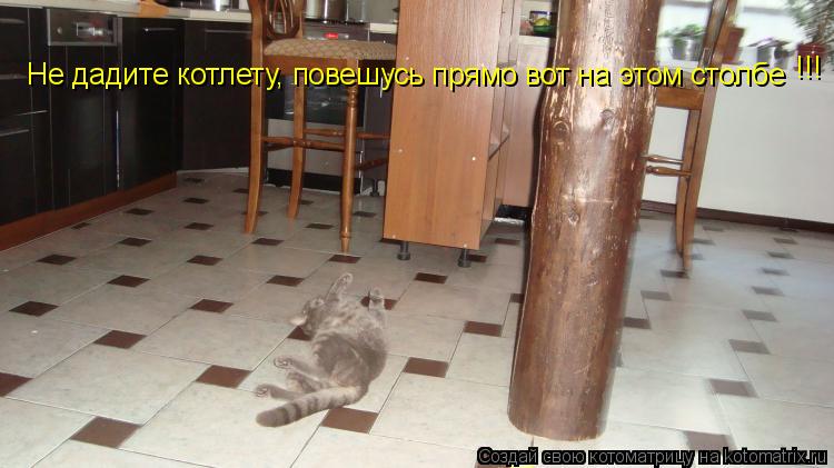 Не дадите котлету, повешусь прямо вот на этом столбе !!!... Котоматрица: Не дадите котлету, повешусь прямо вот на этом столбе !!!