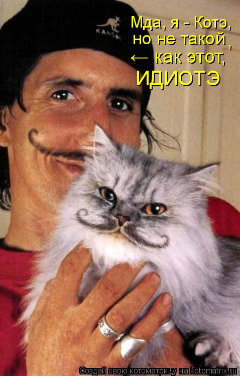 но не такой ИДИОТЭ Мда, я - Котэ, ← как этот, ,... Котоматрица: но не такой ИДИОТЭ Мда, я - Котэ, ← как этот, ,