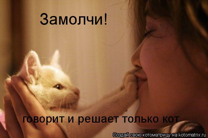 Замолчи! говорит и решает только кот... Котоматрица: Замолчи! говорит и решает только кот