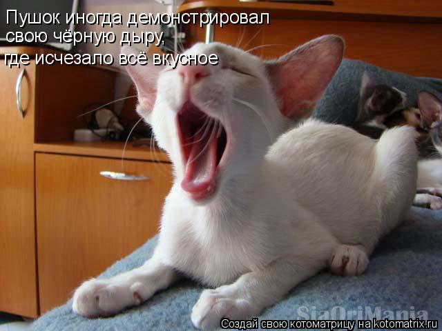 Пушок иногда демонстрировал где исчезало всё вкусное свою чёрную дыру,... Котоматрица: Пушок иногда демонстрировал где исчезало всё вкусное свою чёрную дыру,