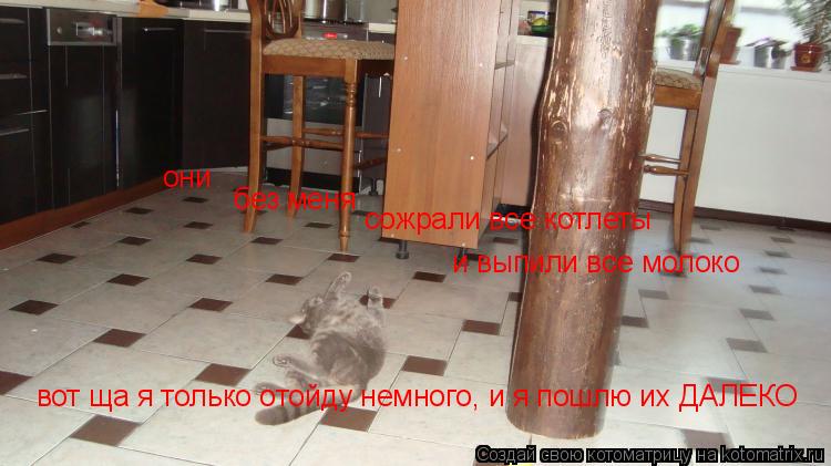 они без меня сожрали все котлеты и выпили все молоко вот ща я только отойду немного, и я пошлю их ДАЛ... Котоматрица: они без меня сожрали все котлеты и выпили все молоко вот ща я только отойду немного, и я пошлю их ДАЛЕКО