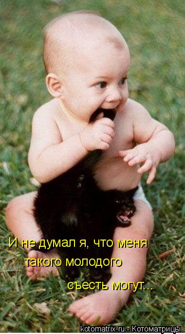 И не думал я, что меня такого молодого съесть могут...... Котоматрица: И не думал я, что меня такого молодого съесть могут...